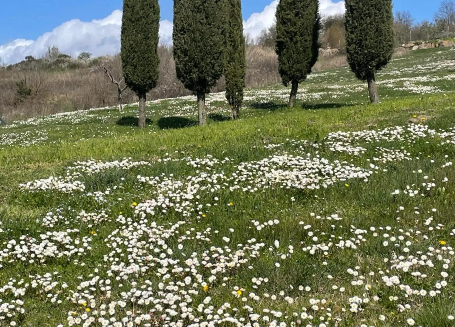 Romantico Cottage Radicofani Italia
