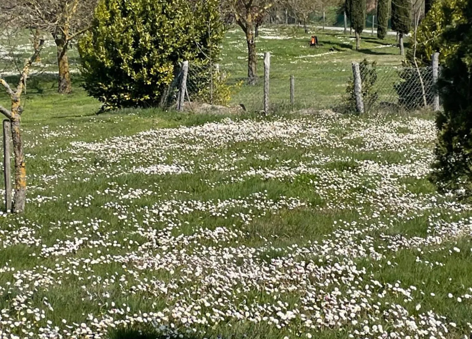 Romantico Cottage Radicofani 0*,  Italia